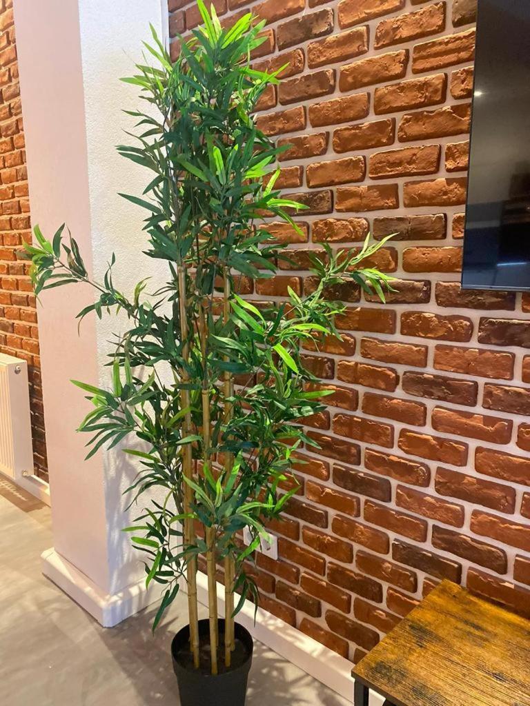 Luxurioese Loft Mit Garten Naehe Duesseldorf Messe Крефельд Экстерьер фото